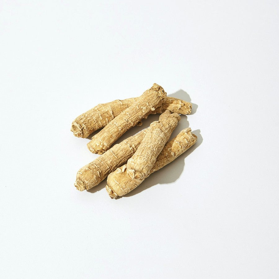 Panax Ginseng