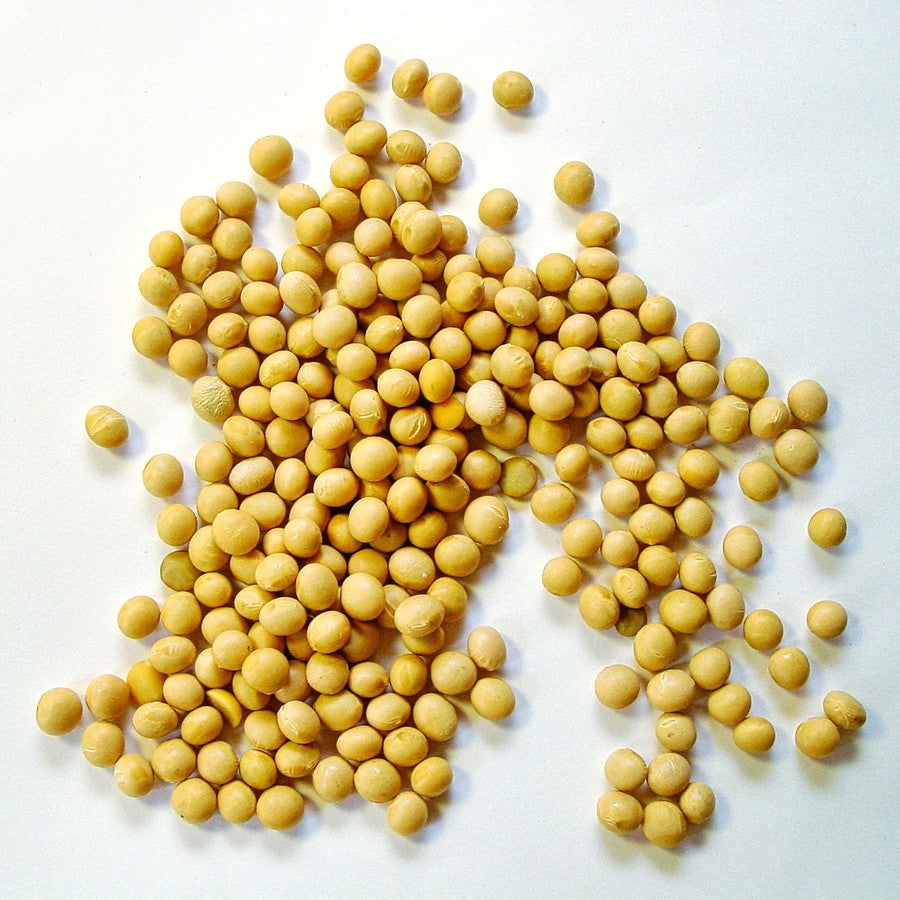 Alpha-GPC
